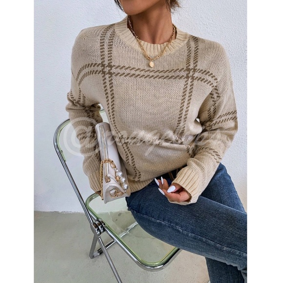 Grid Plaid Pattern Beige Knit Crew Neck Pullover Sweater - Picture 3 of 9